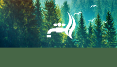 william威廉亚洲官方