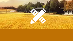 william威廉亚洲官方