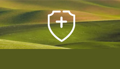 william威廉亚洲官方